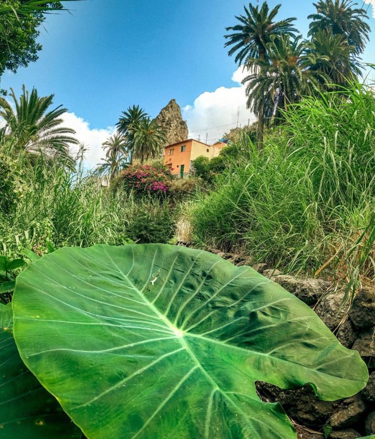 הרמיגואה Casa Buganvilla מראה חיצוני תמונה